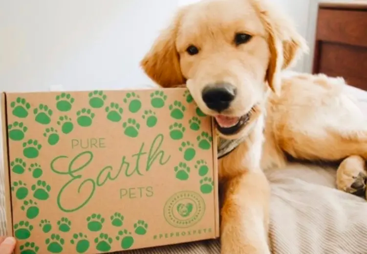 BEST ECO-FRIENDLY SUBSCRIPTION BOXES TO DISCOVER